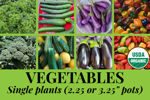 PS veg icon.png