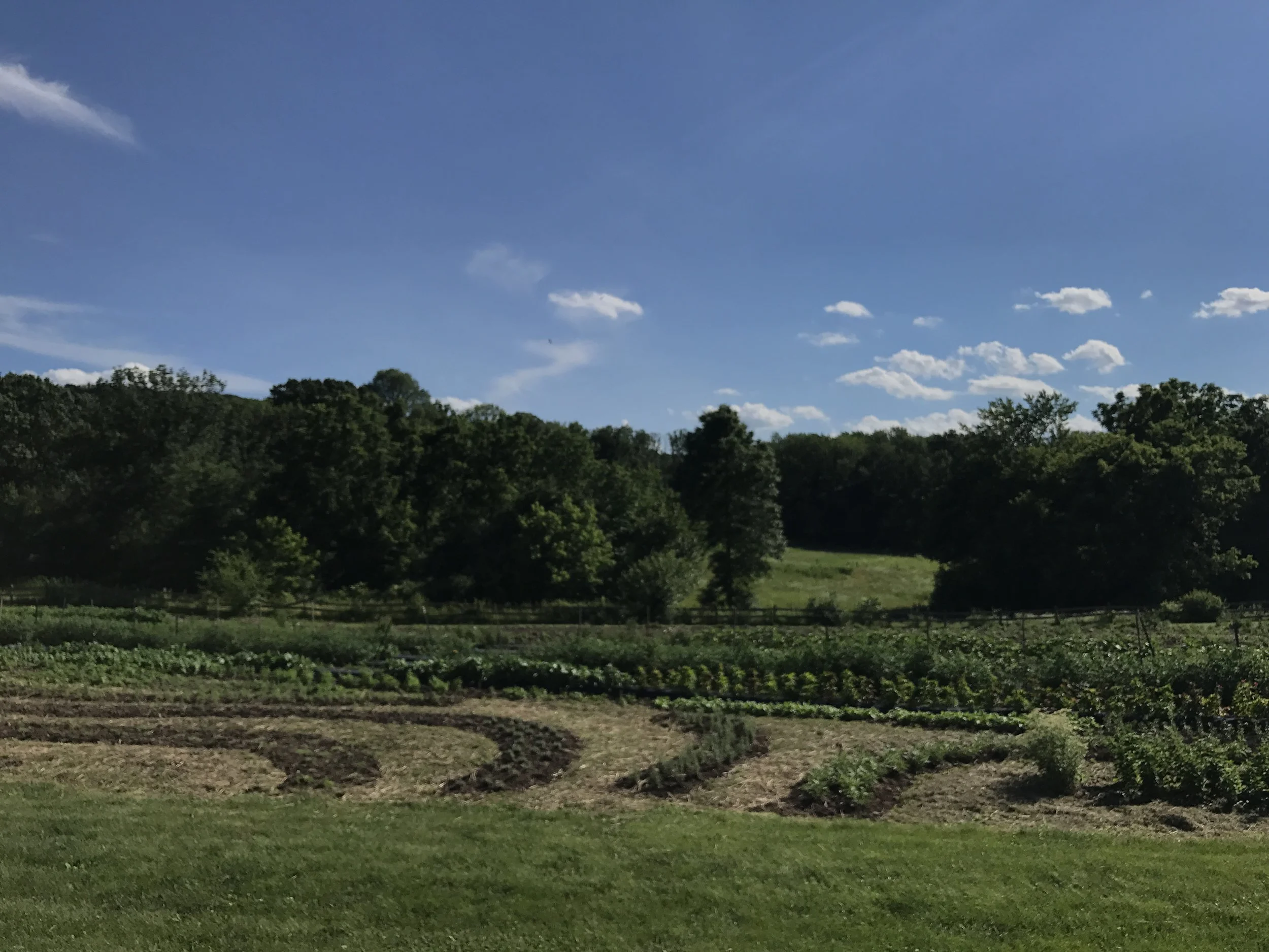 IMG_4582.JPG