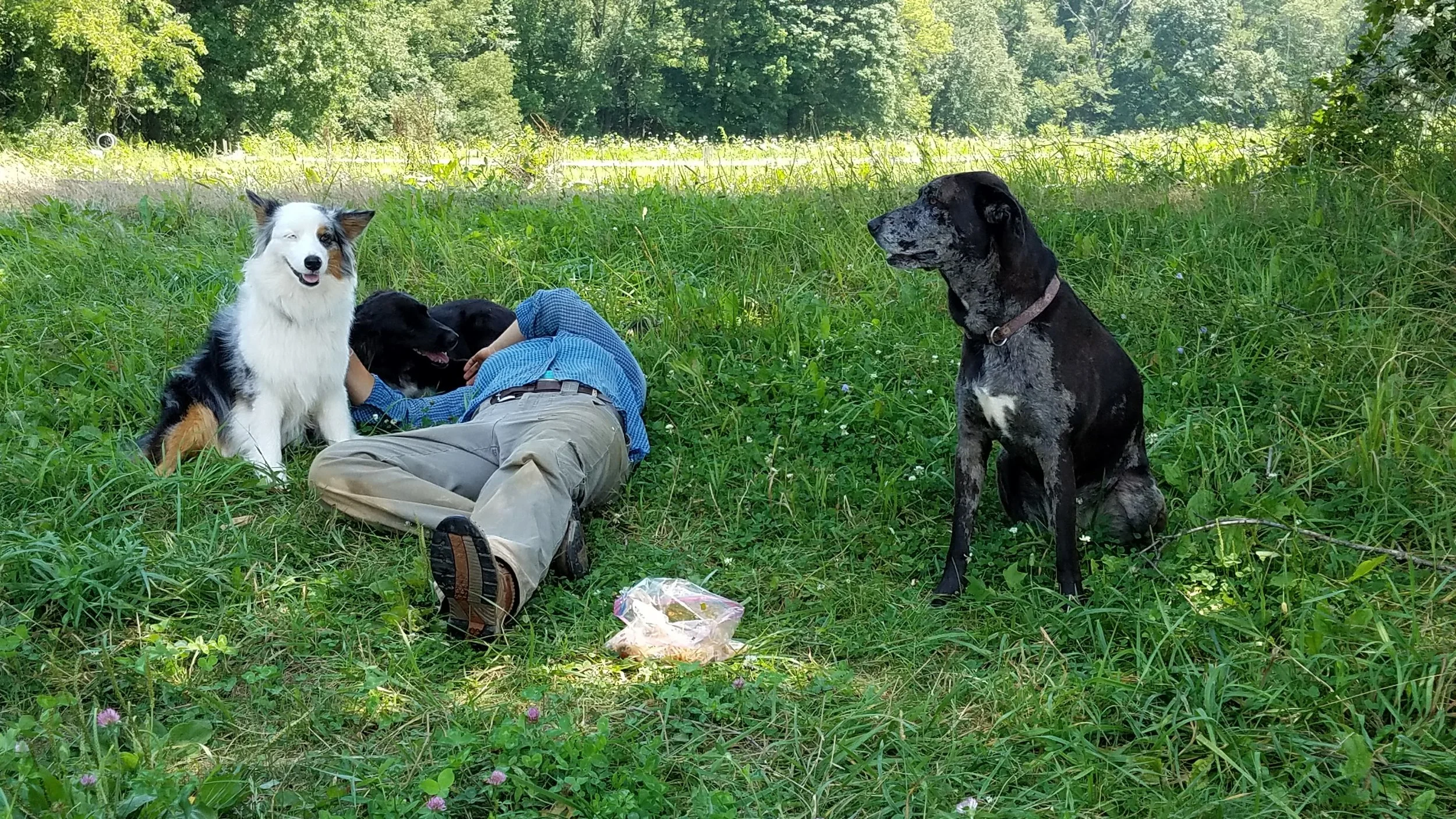 20170804_135038.jpg