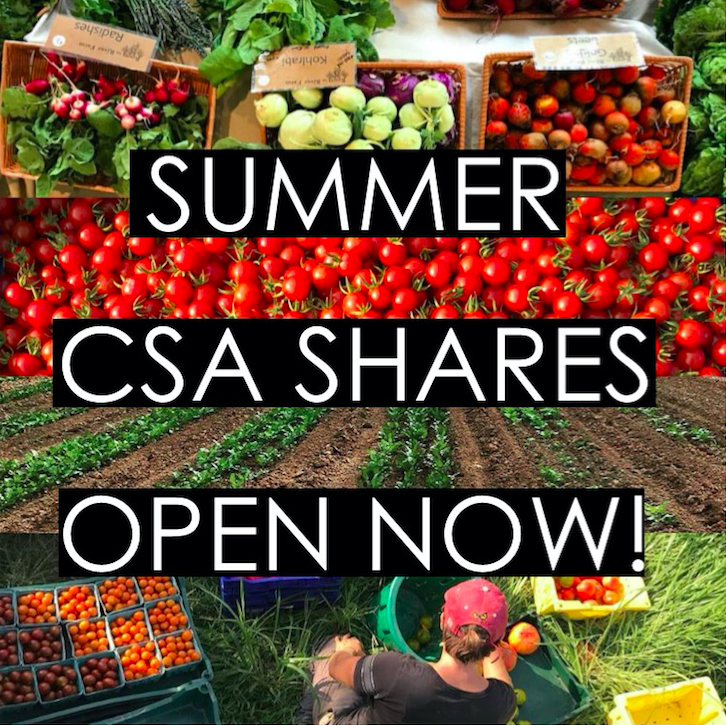 Summer CSA Shares pic.jpg