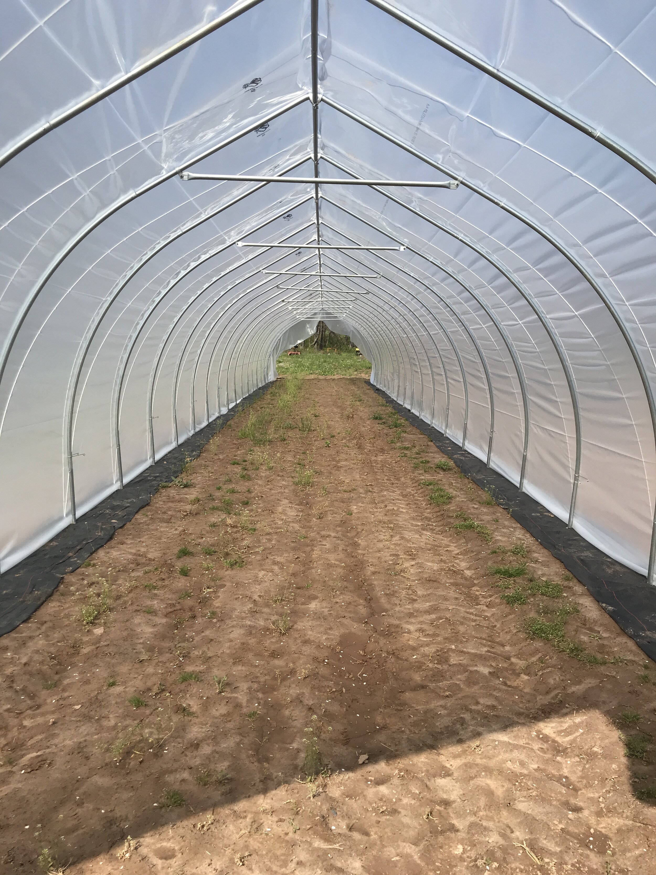 1st tunnel finished! Before the wind bent some of the arches :( 