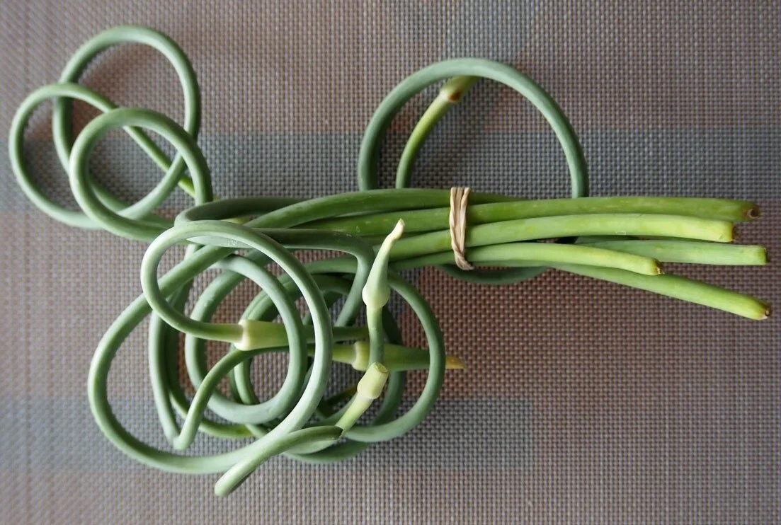 garlic-scapes.jpg