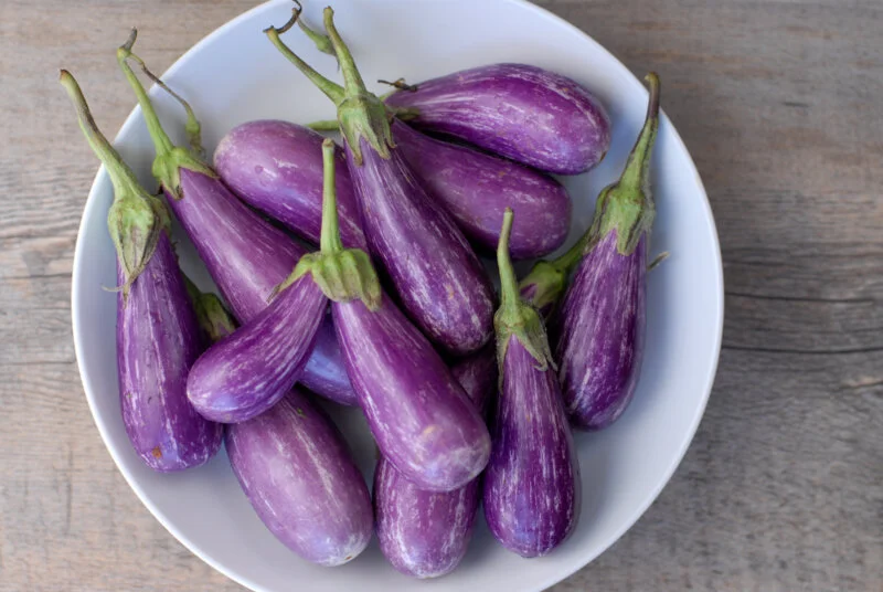 eggplant fairytale.jpg