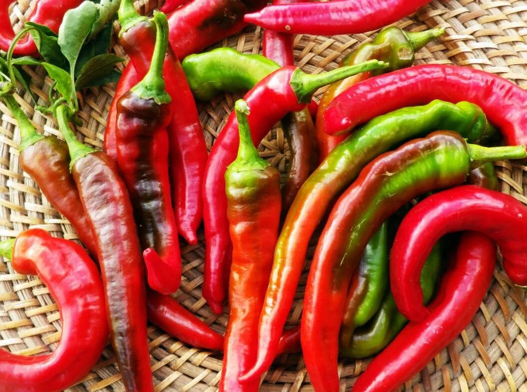 pepper jimmy.JPG