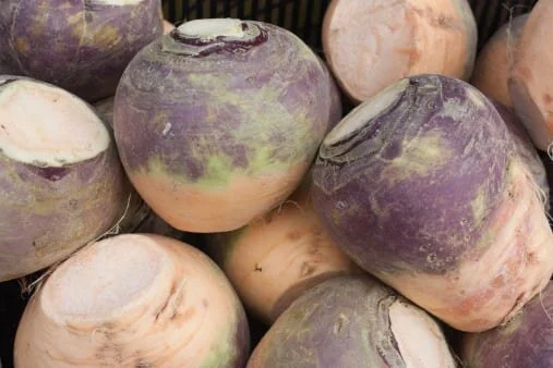 rutabaga.jpg