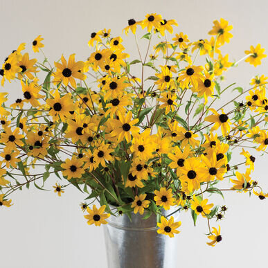 flower bes.jpg