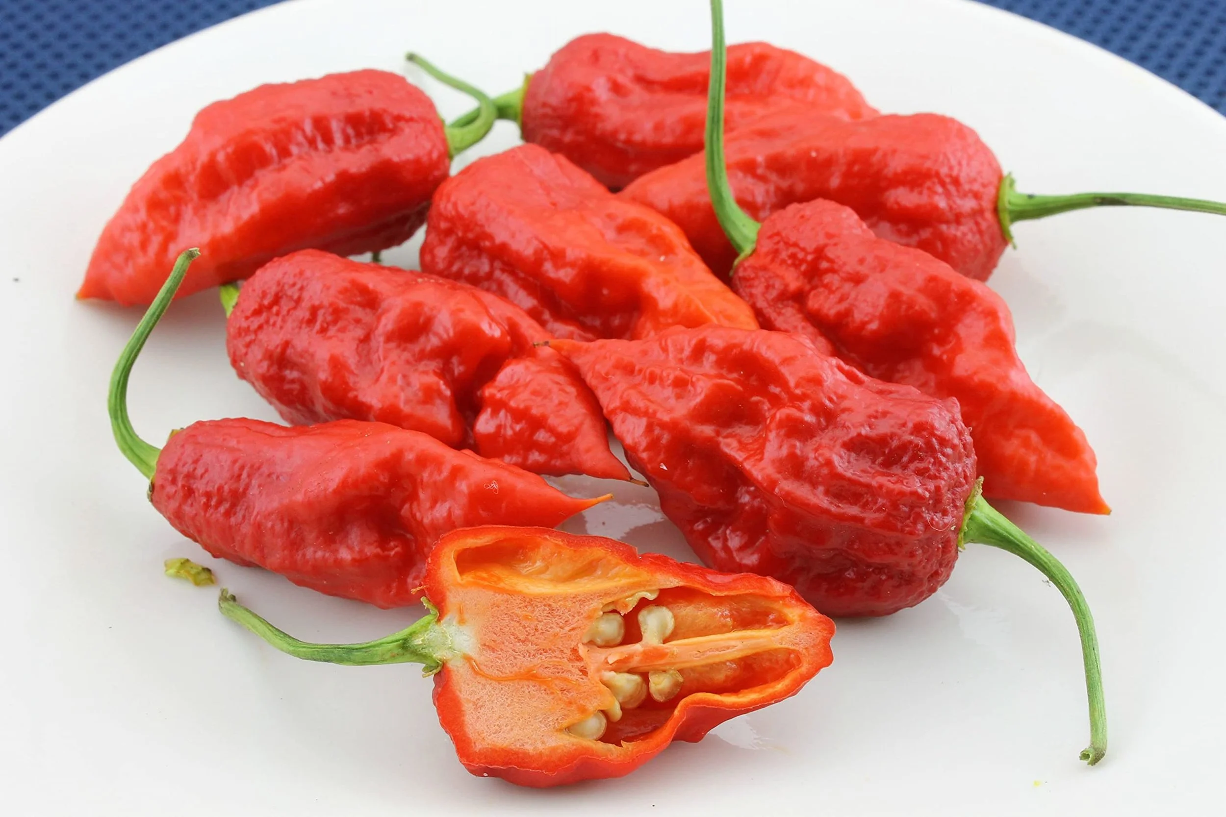 bhut_jolokia.jpg