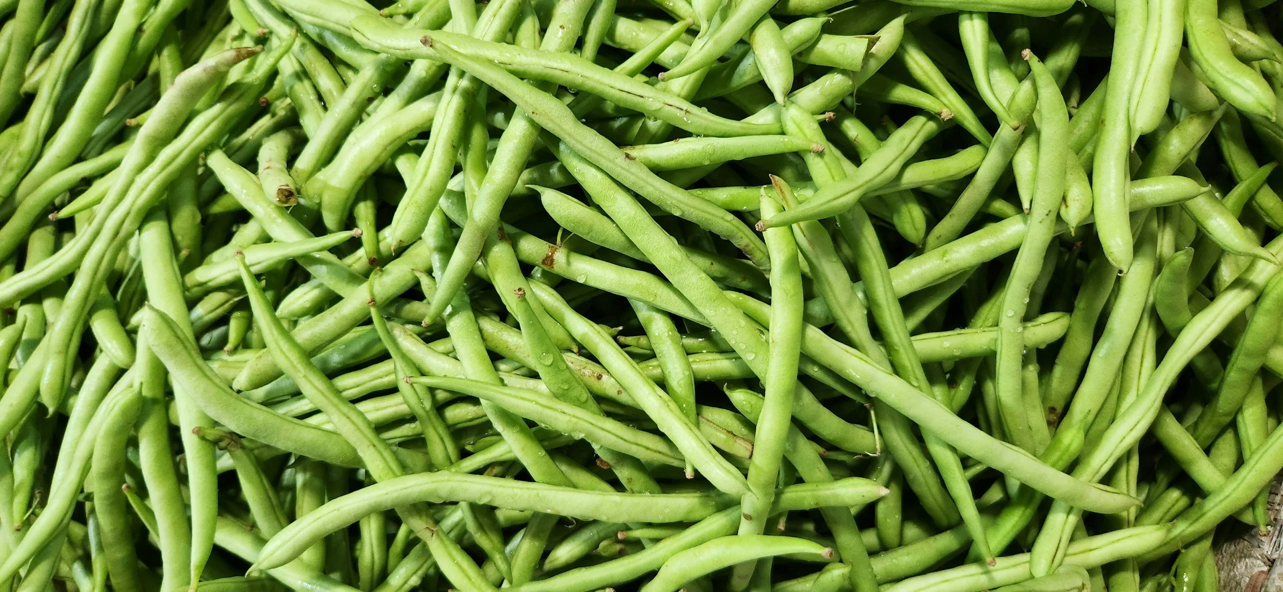Beans, Green+String