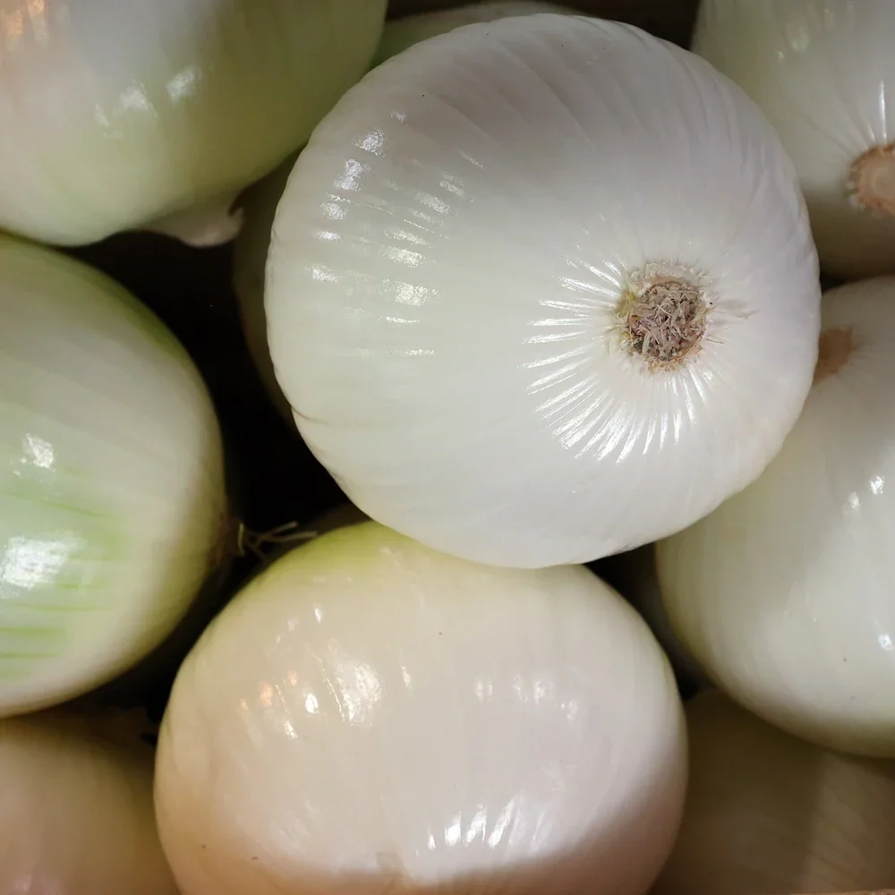 _Onion, White Sweet (lb)