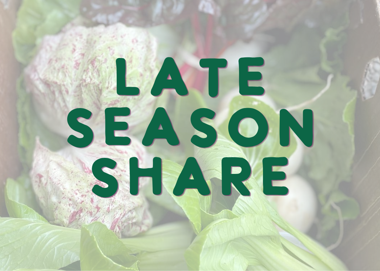 late season share.png