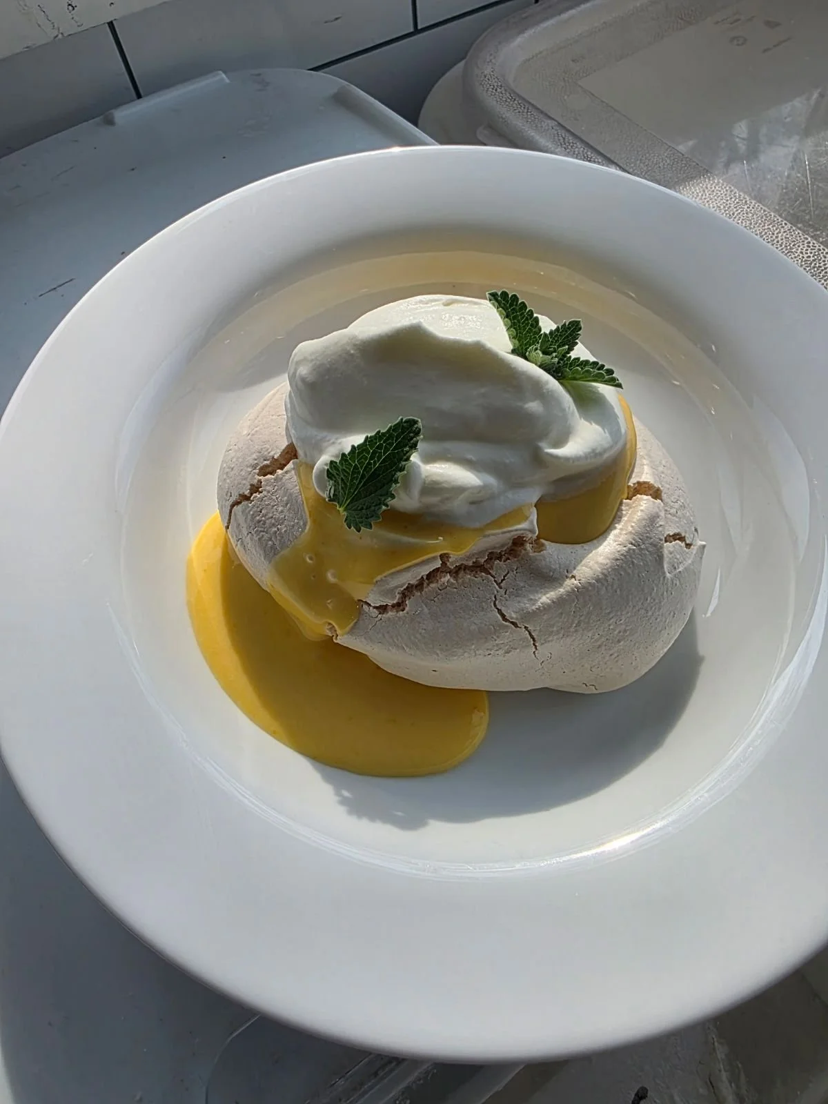 pavlova.jpeg