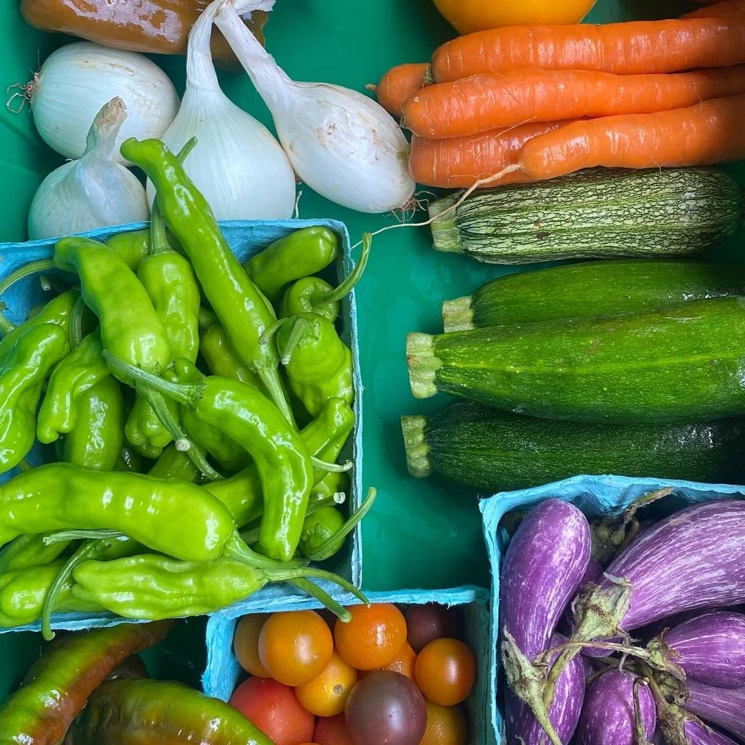 csa box mix veg square.jpg