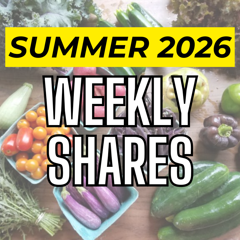 2026 weekly share.png