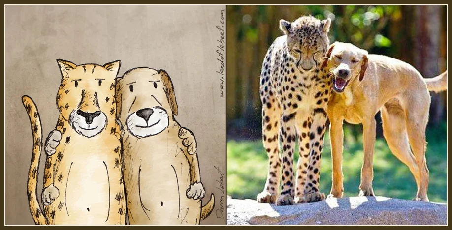Unlikely animal best friends - labrador retriever and leopard. The Land of Le Beef comic strip, by Darren Lebeuf