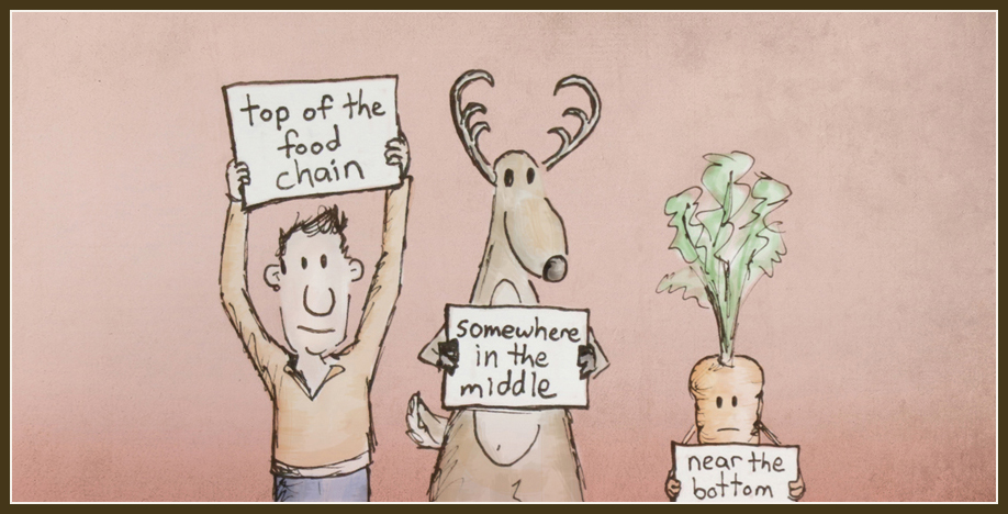 005_Food-Chain_b.jpg