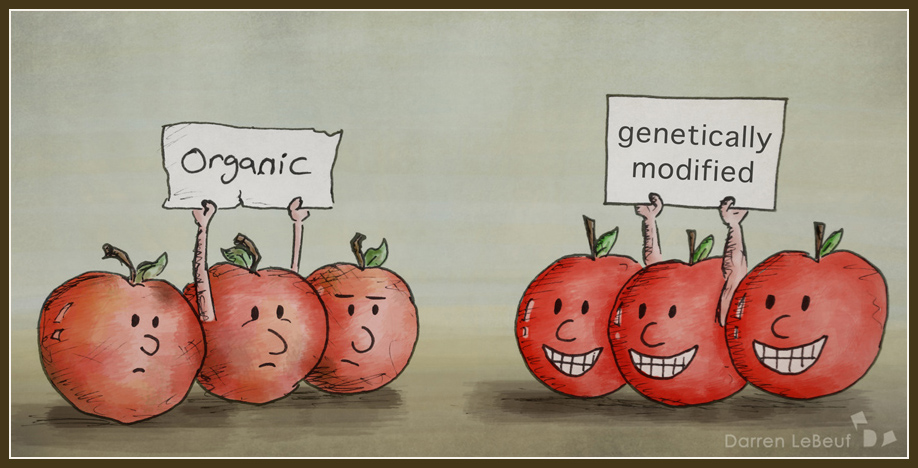 048_Apples.jpg