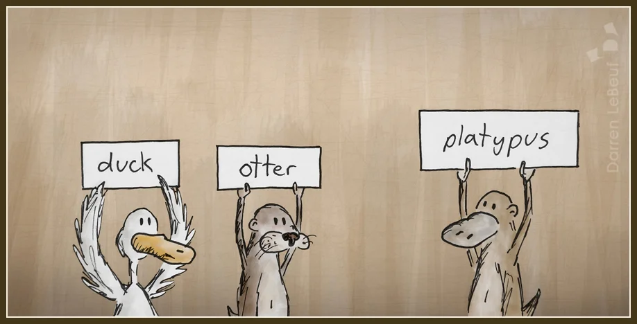 073_Platypus.jpg