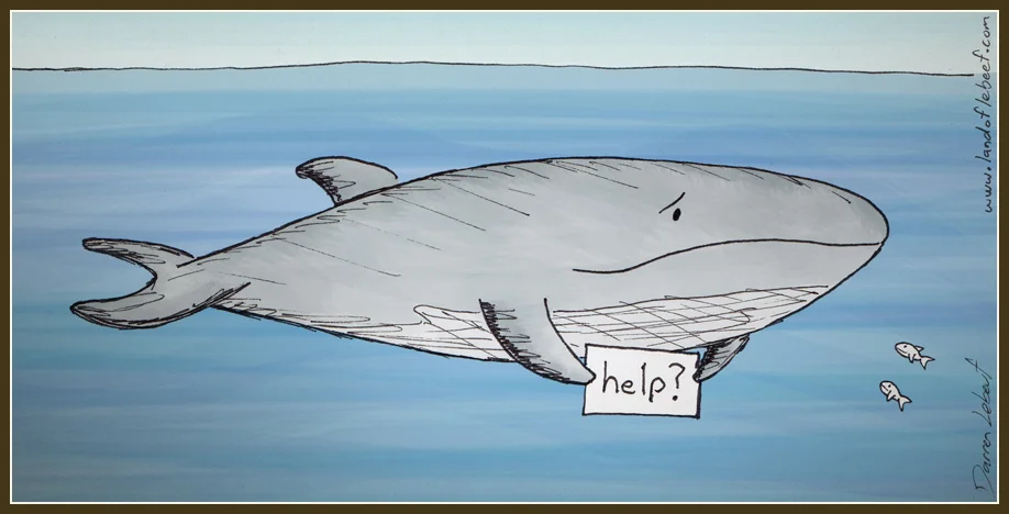 save the whales. the Land of Le beef, by Darren Lebeuf