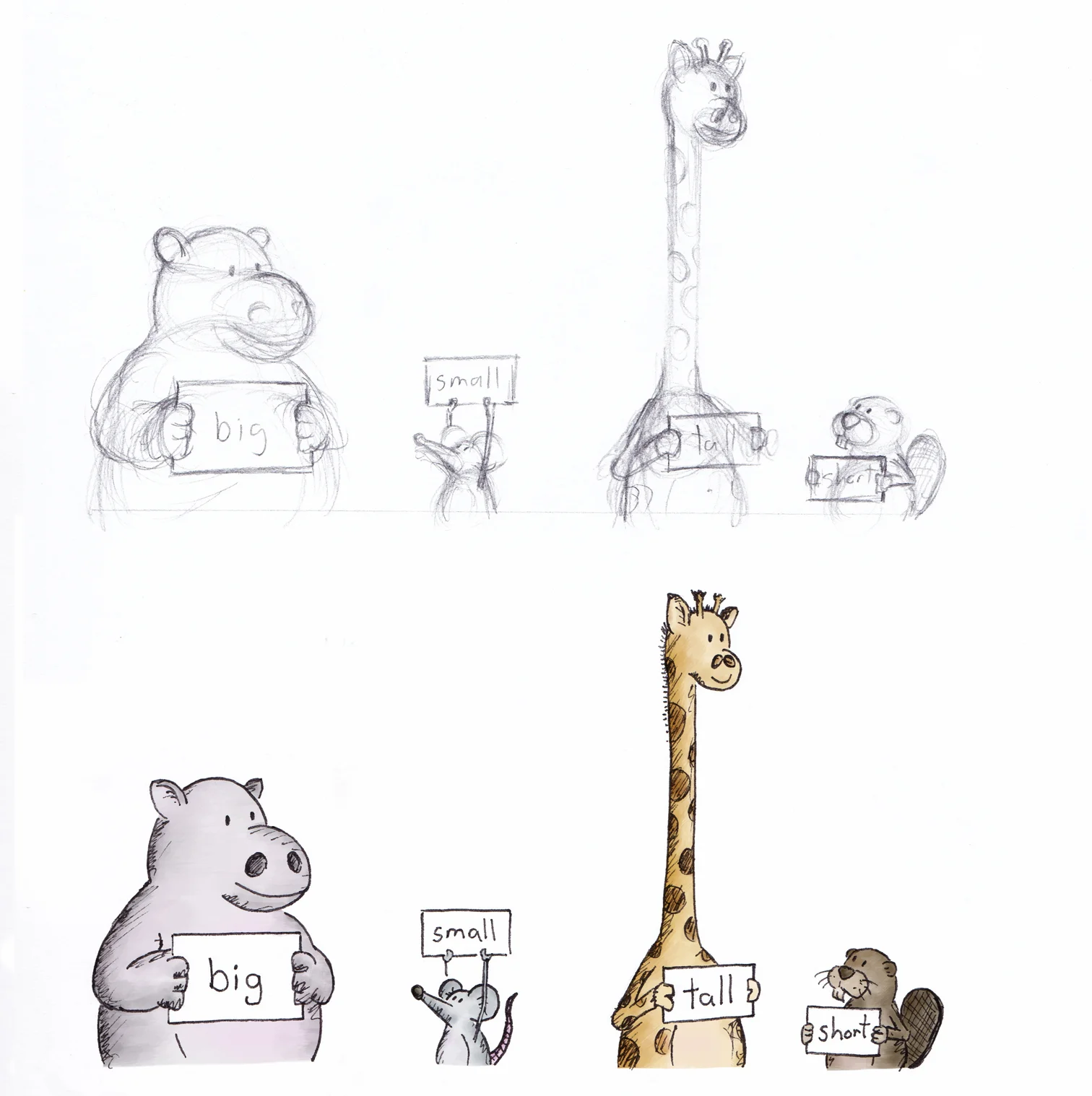 hippo, mouse, giraffe, beaver - rough sketch and coloured draft