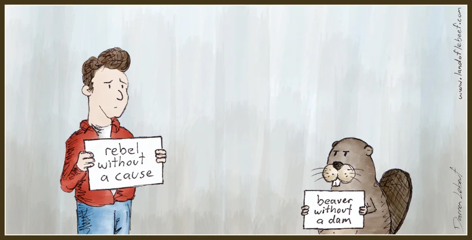 13-09-01_Rebel.jpg
