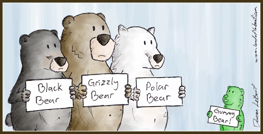 13-09-17_Bears_b.jpg