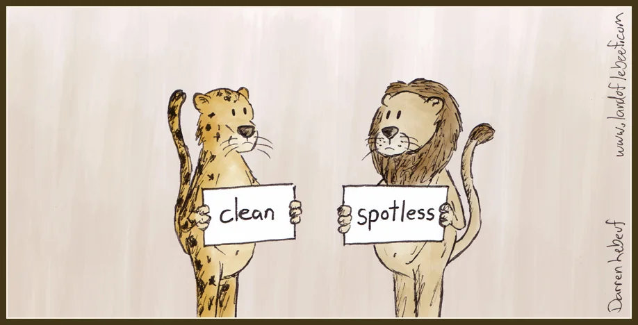 14-01-08_Spotless.jpg