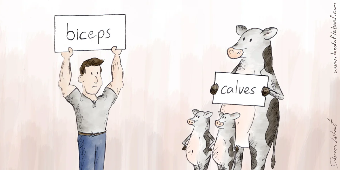 14-06-06_Calves.jpg