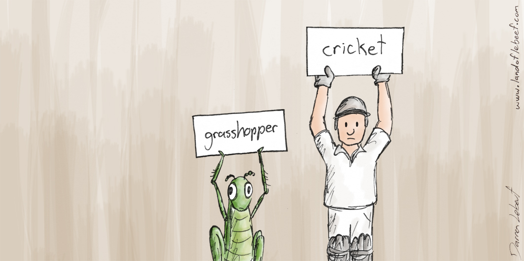 1505-19_Cricket.jpg