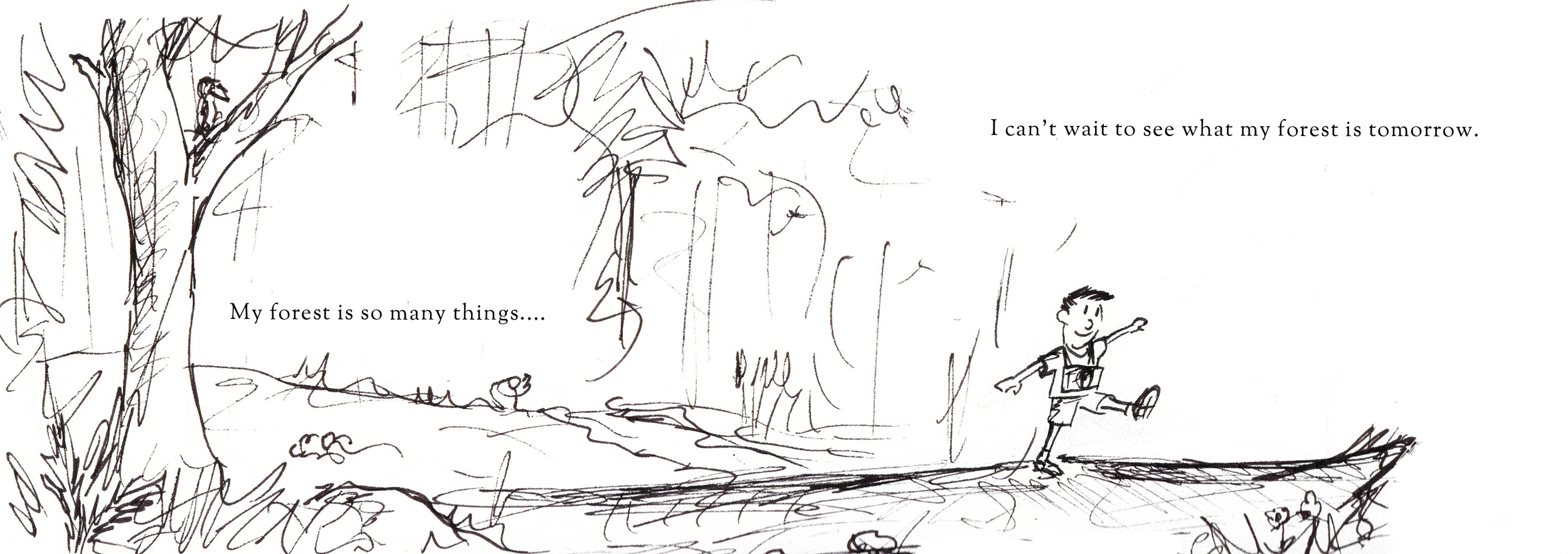 My-Forest_pp-16 (deleted e6145a7c6cec7cfe956a8b920f9b9638).jpg