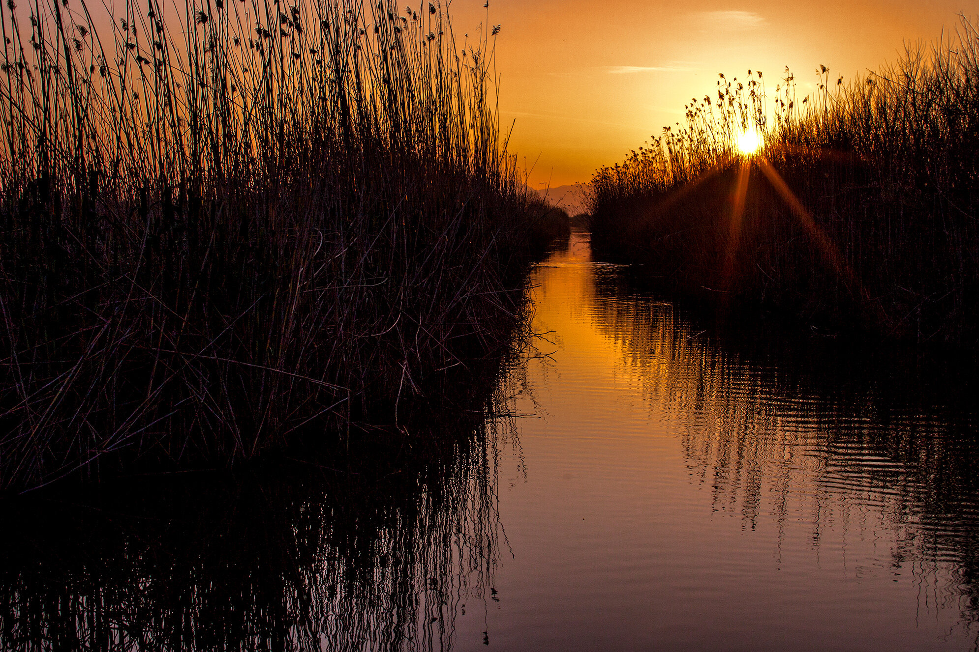 Albufera_1450.jpg