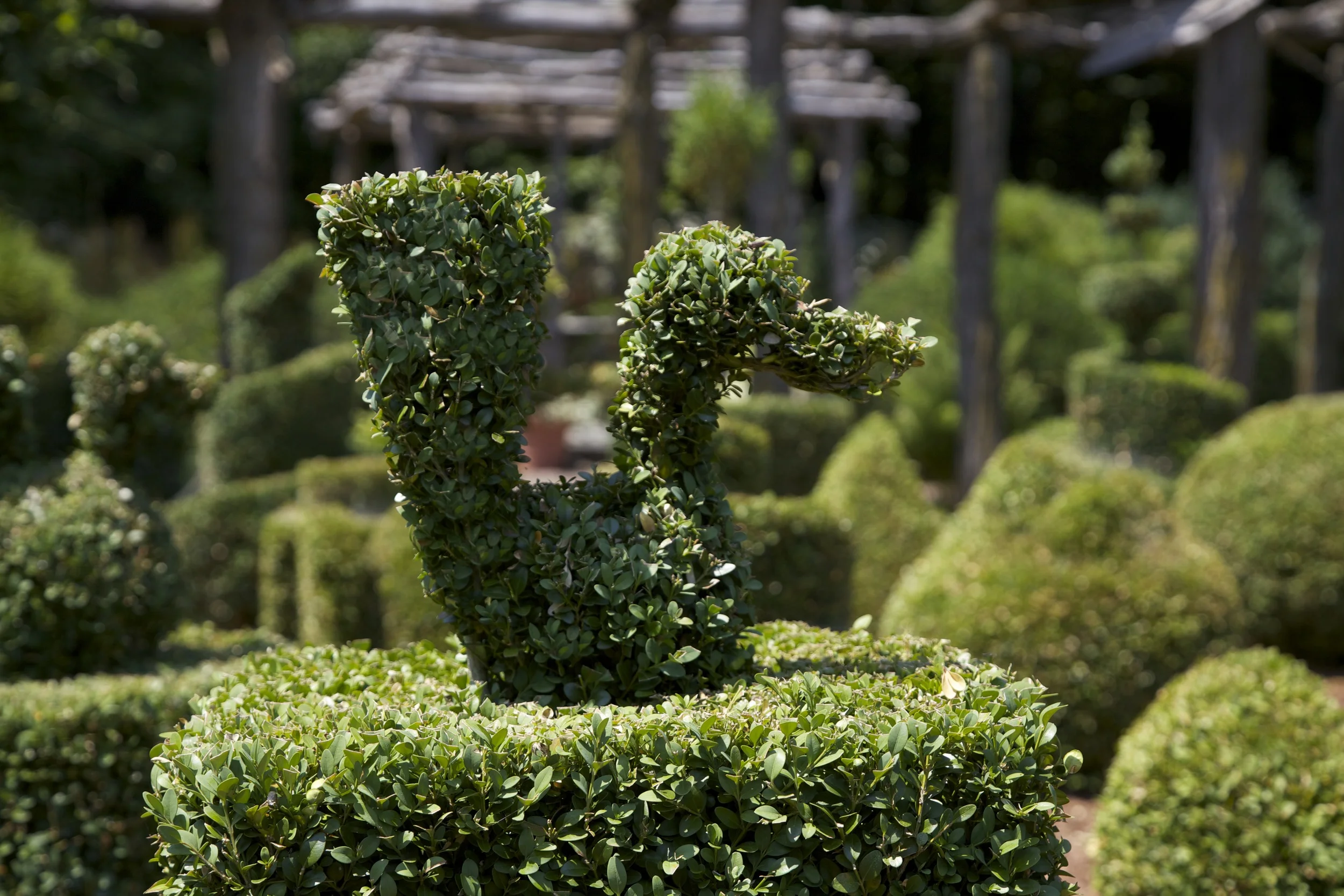 Larkin Garden 096.jpg