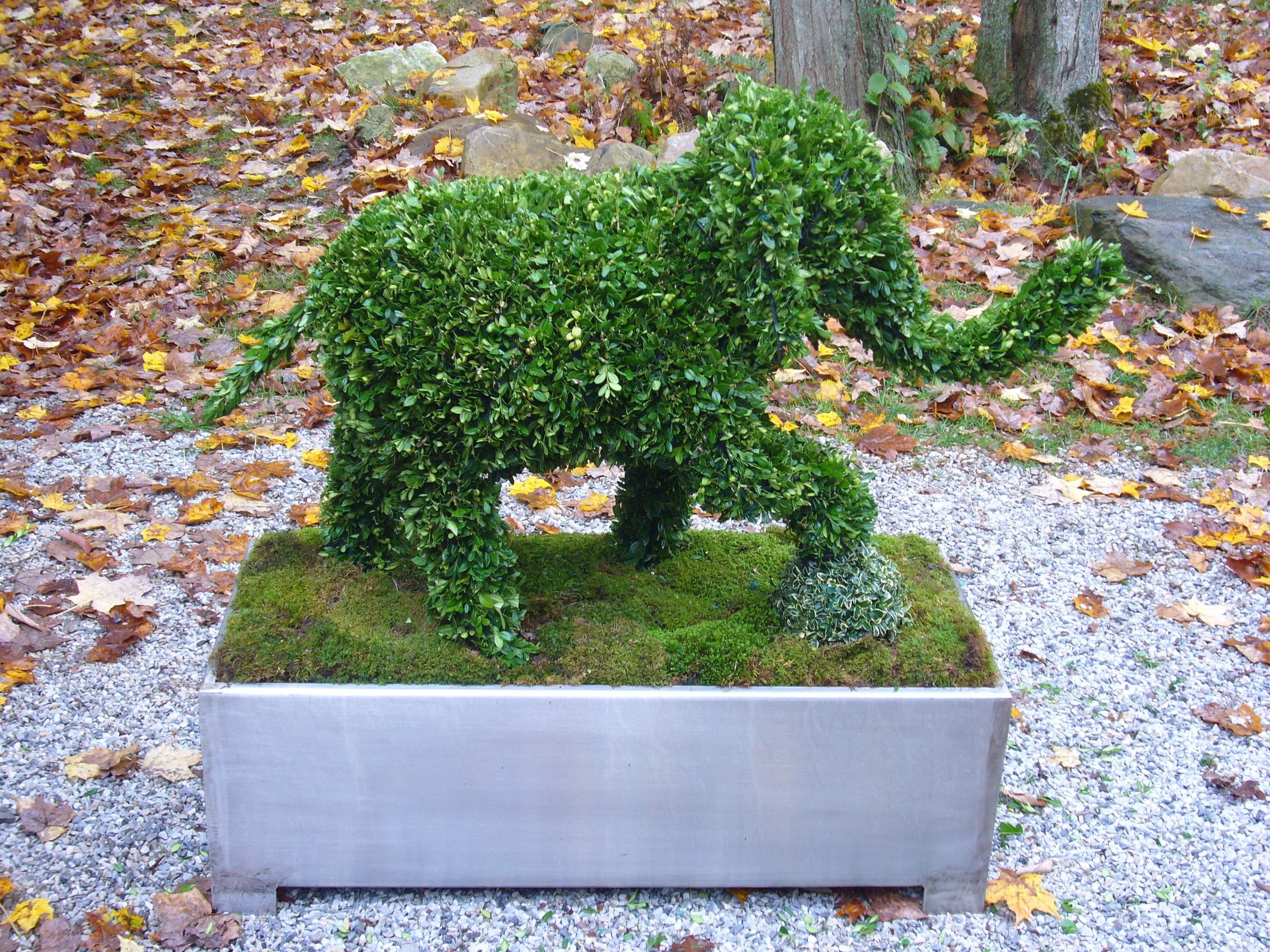 P1000790.JPG