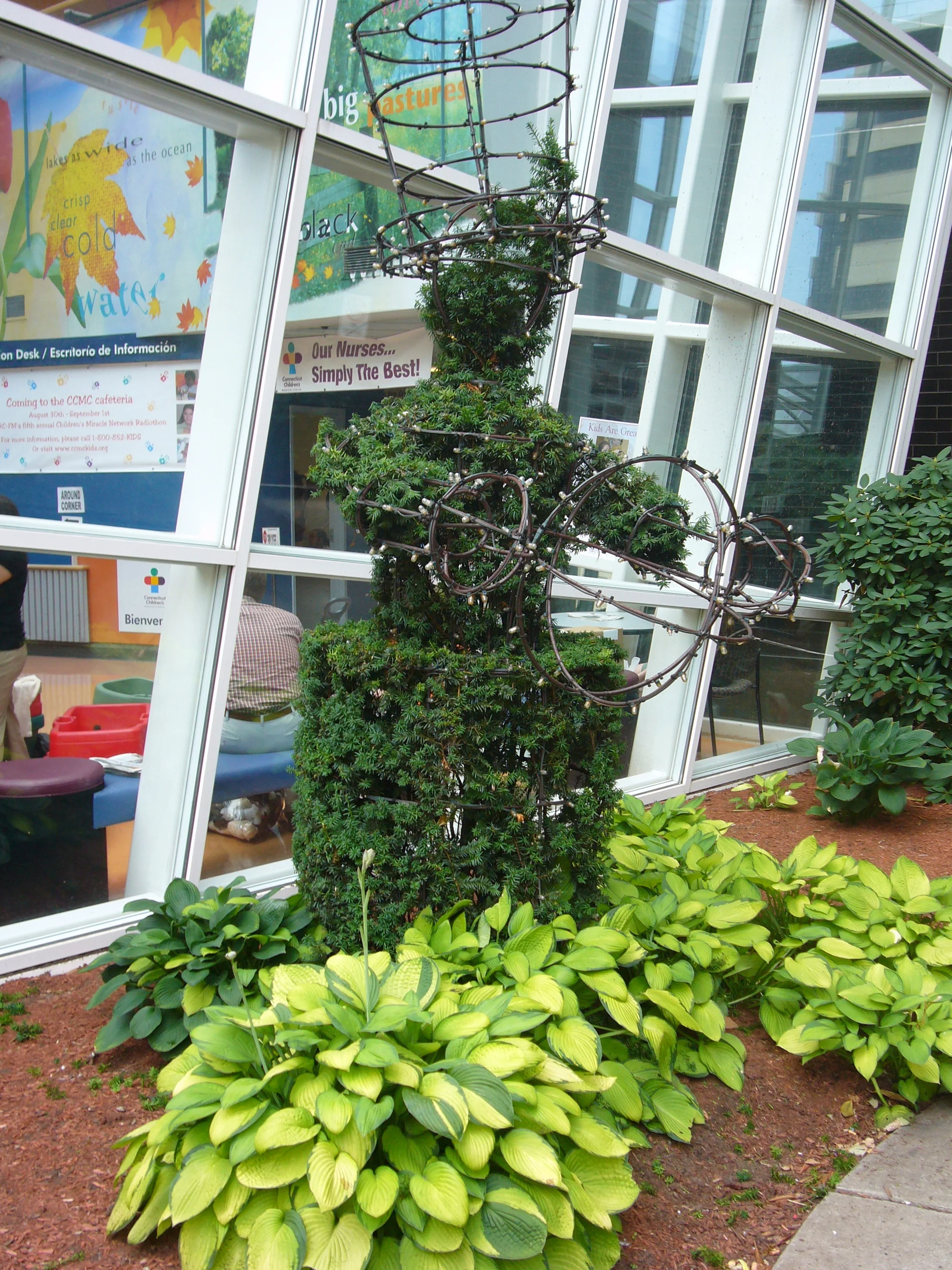P1000648.jpg
