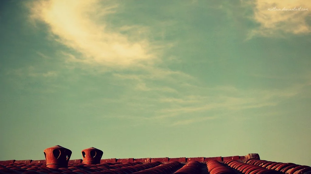 Heart & Soul - Members Meeting