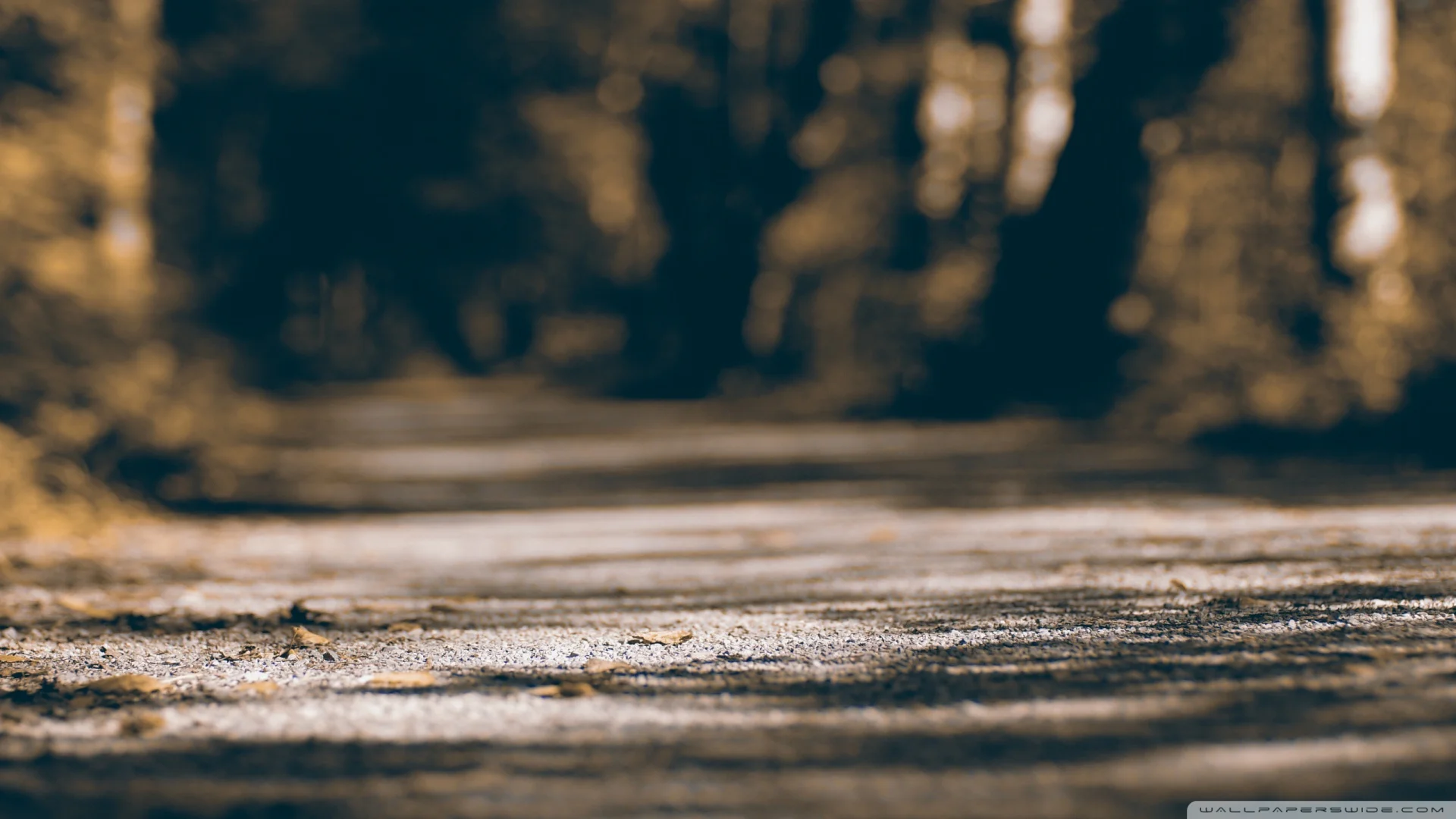 Grace for Today - The God of surprises