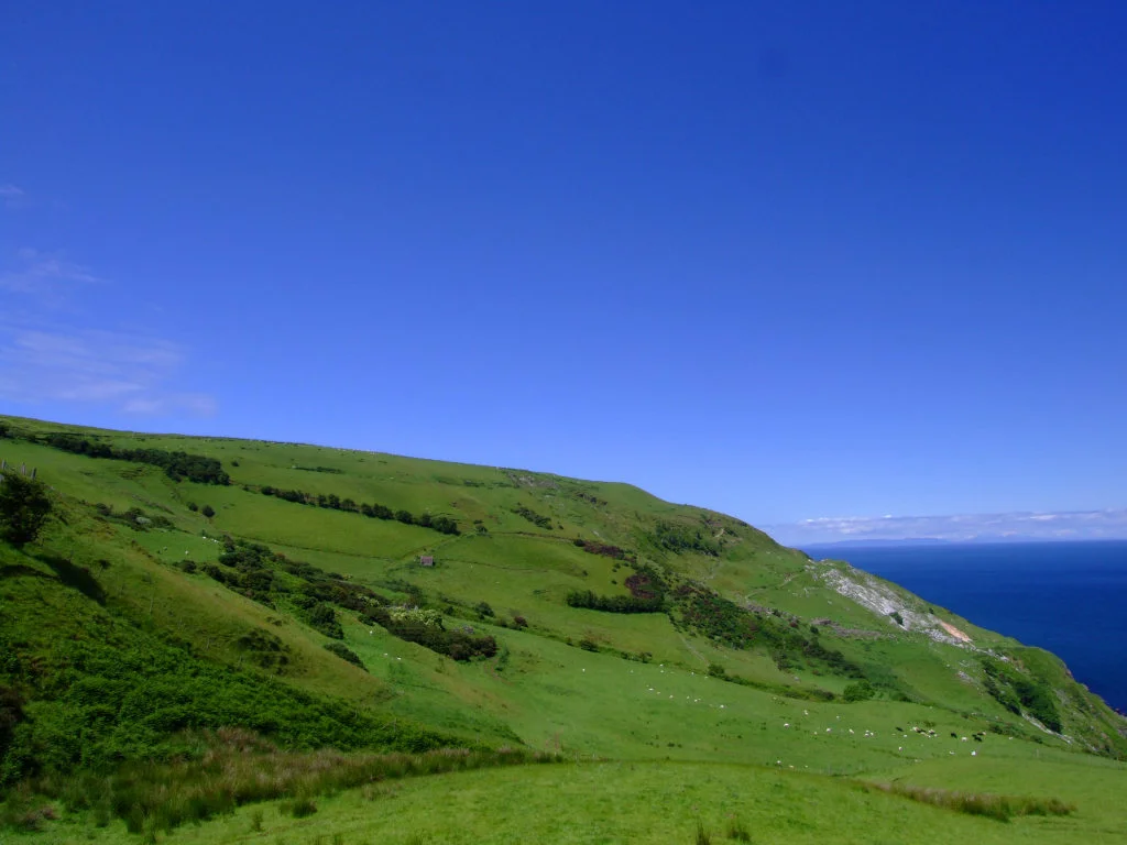 Grace for Today - Relax