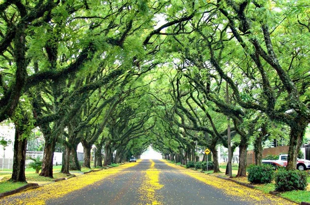 God had a plan for his life