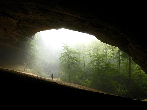 His word is constant