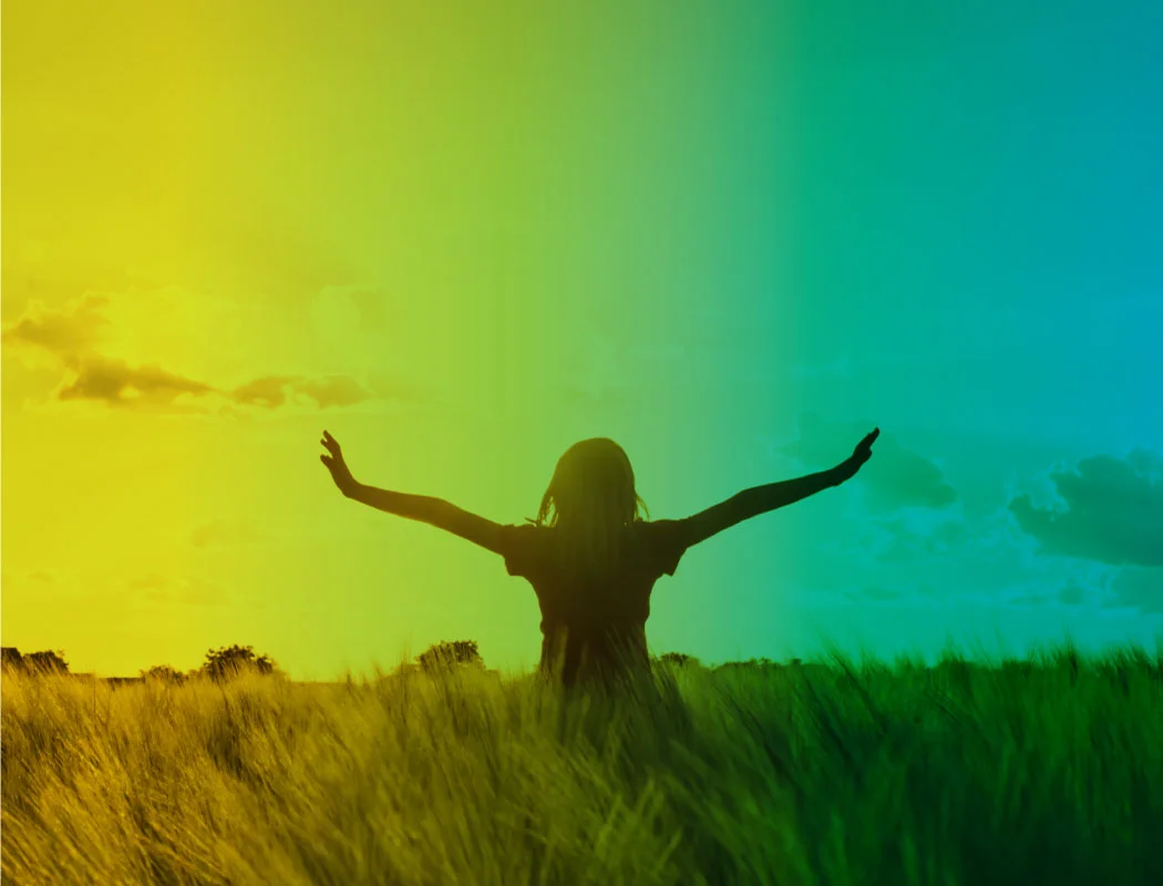 See what He has done