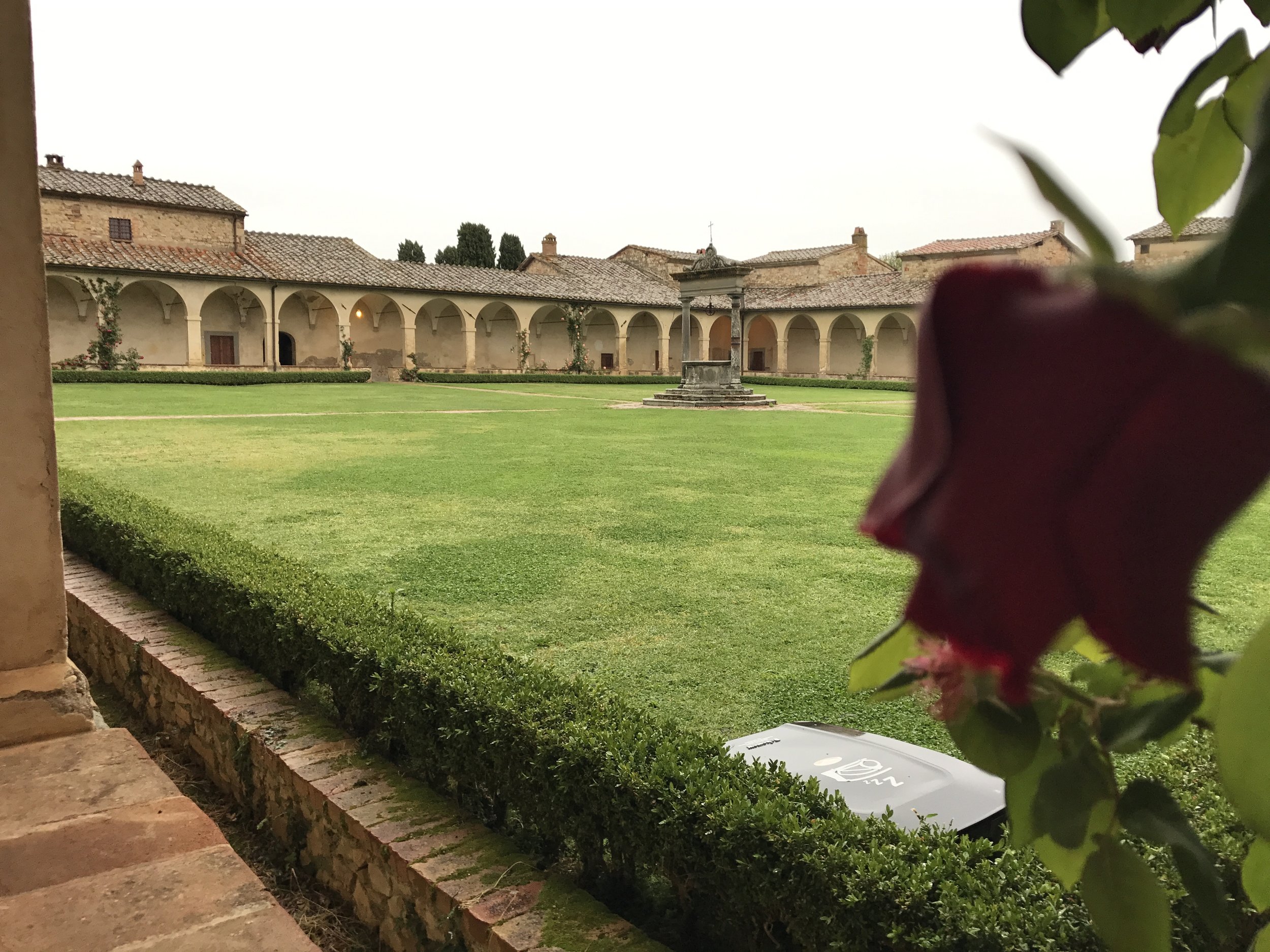 His eyes are upon me