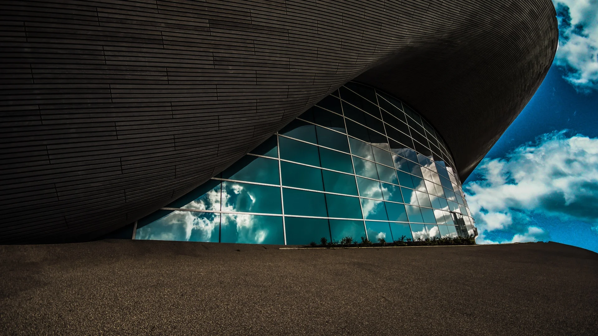 Day 8 - Jesus Is Willing, Be Healed!