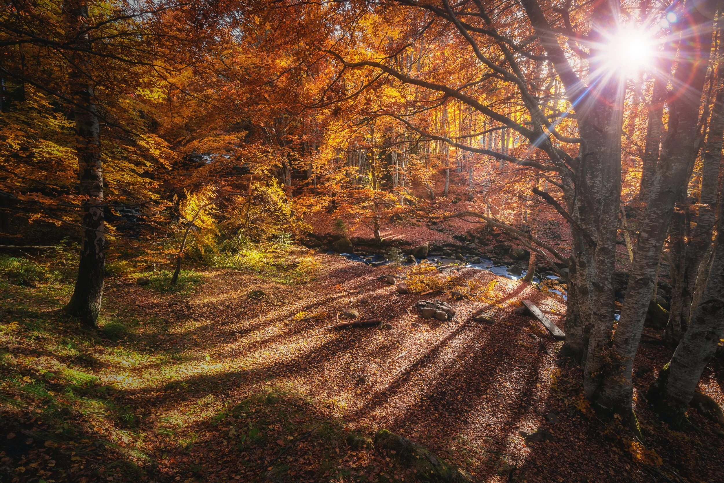 God’s Grace Transforms Us