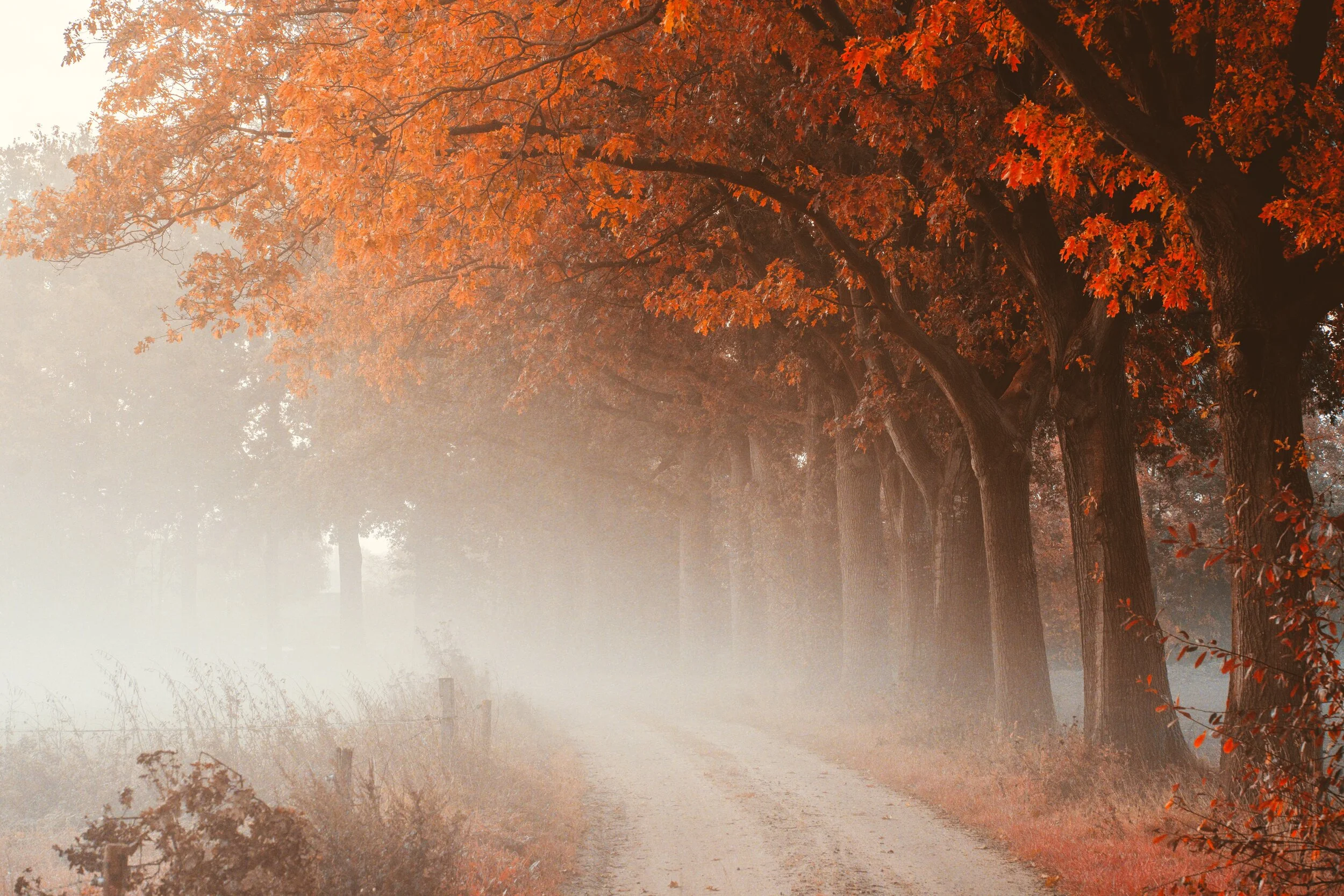 Make Jesus Your Priority And See Blessings Added To You 