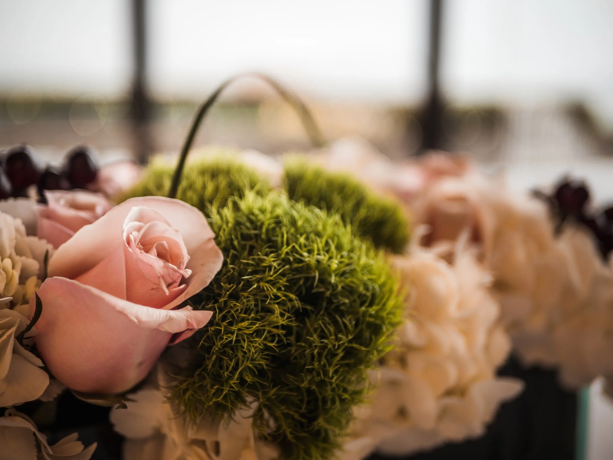 Meditate On God’s Word 