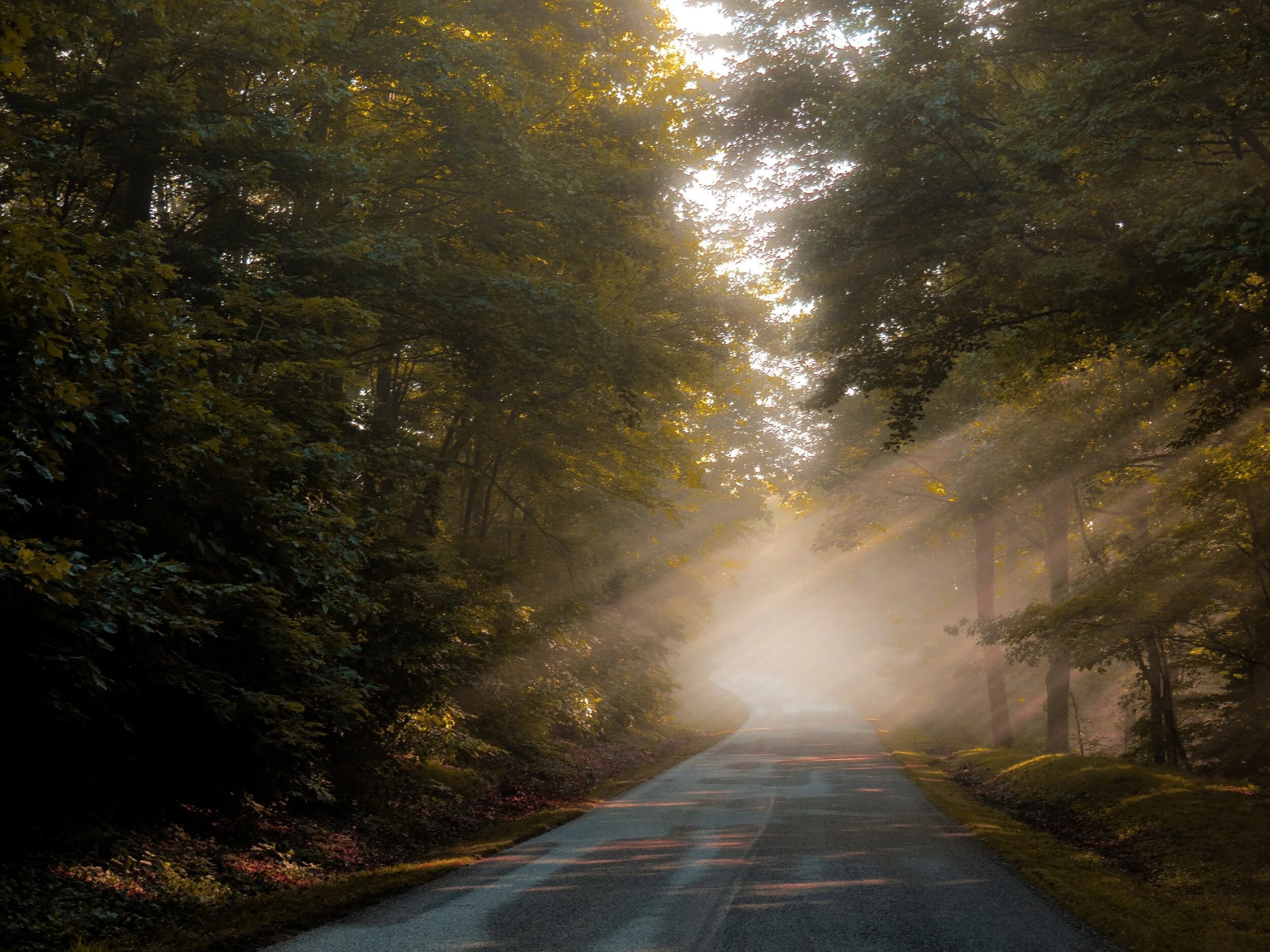 Where are you heading?