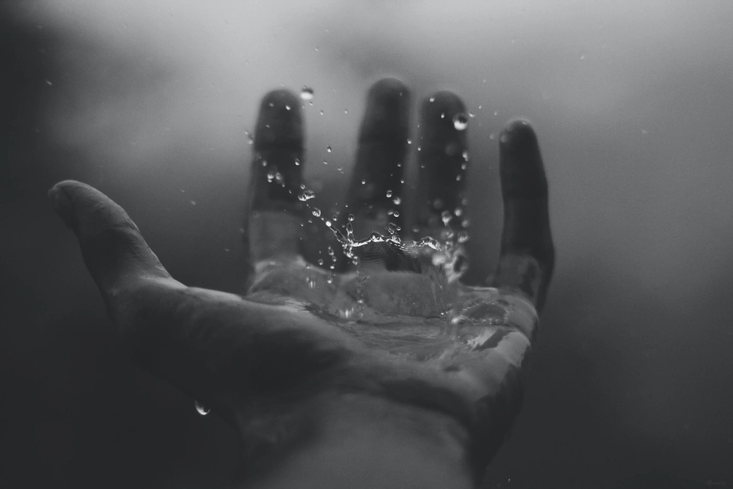  Divine life rains down from heaven 