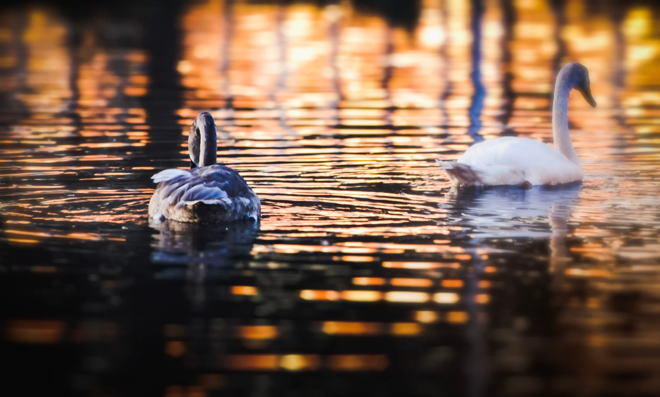 In a world of trouble you can have an untroubled heart. 