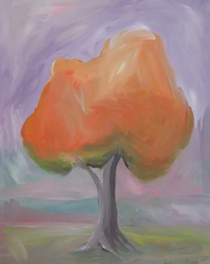 Maple by the Pink House