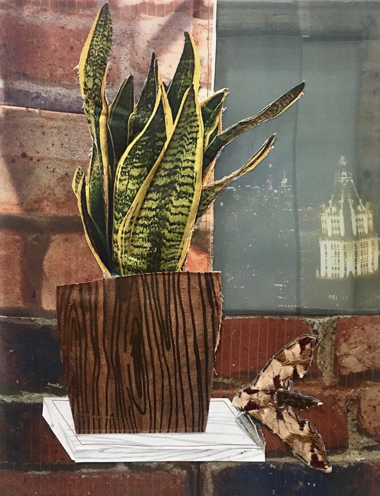 Snake Plant and Moth