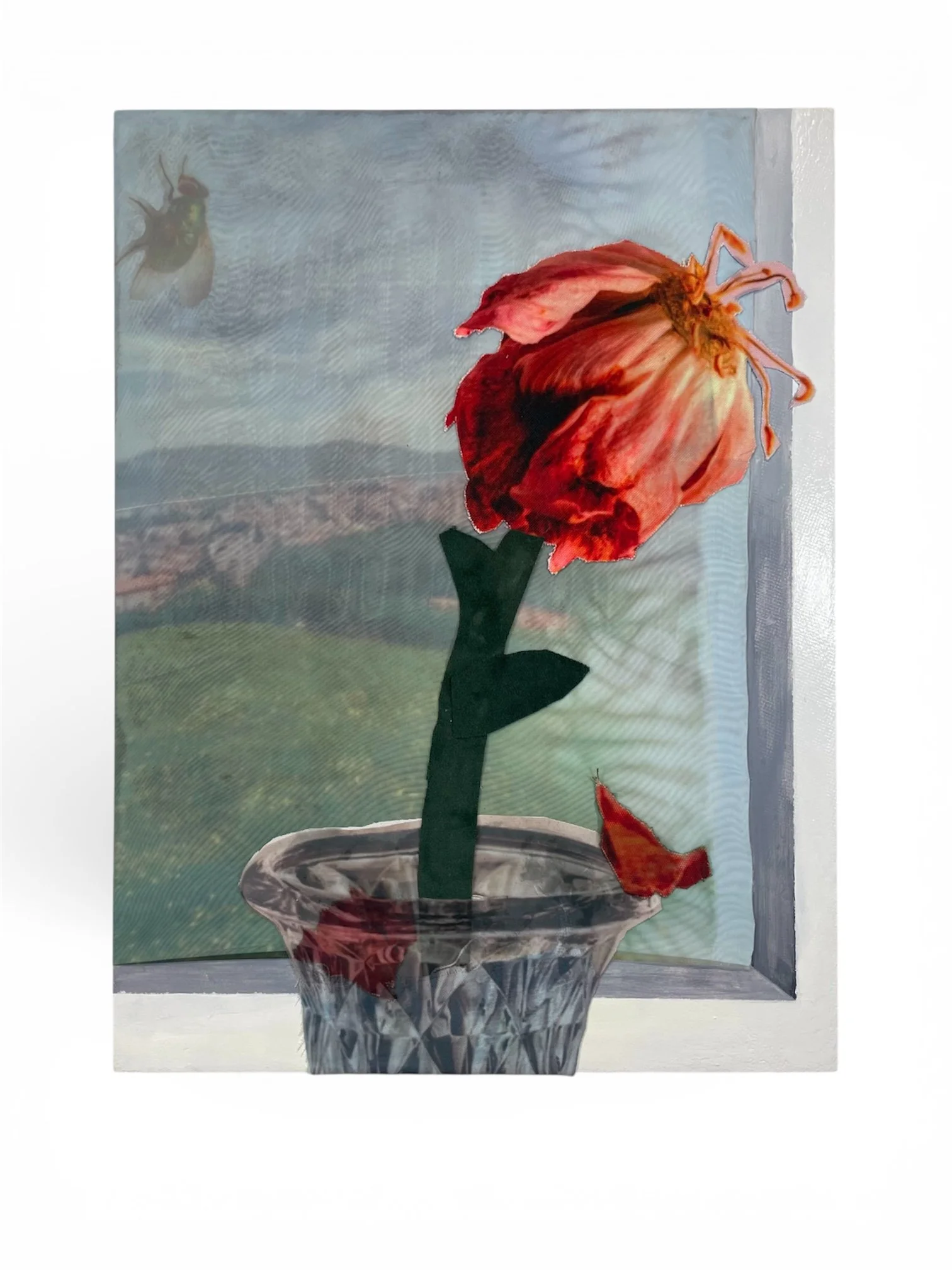 Wilting at Mt. Cobetas